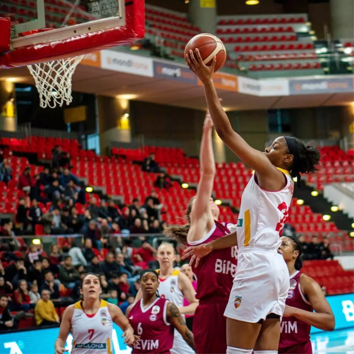 Türkiye Kadınlar Basketbol Ligi