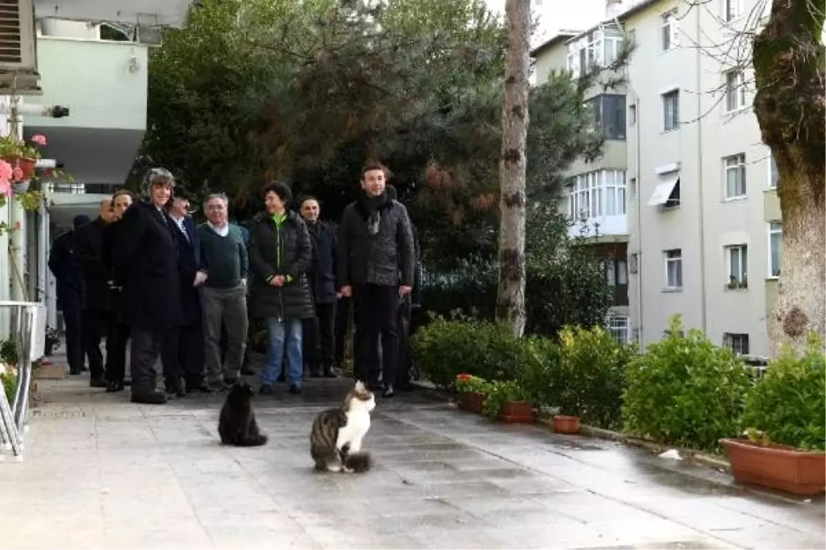 Başkan Akpolat: Komşularımızın ilettiği sorunları yerinde tespit edip çözüm üretiyoruz