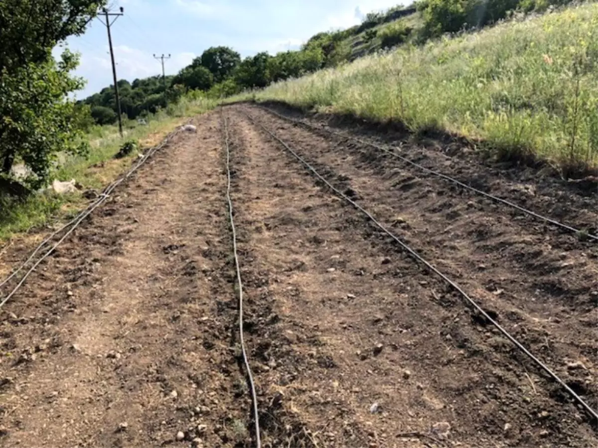 Tekirdağ\'da 1 milyon 913 bin TL Orköy kredisi verildi