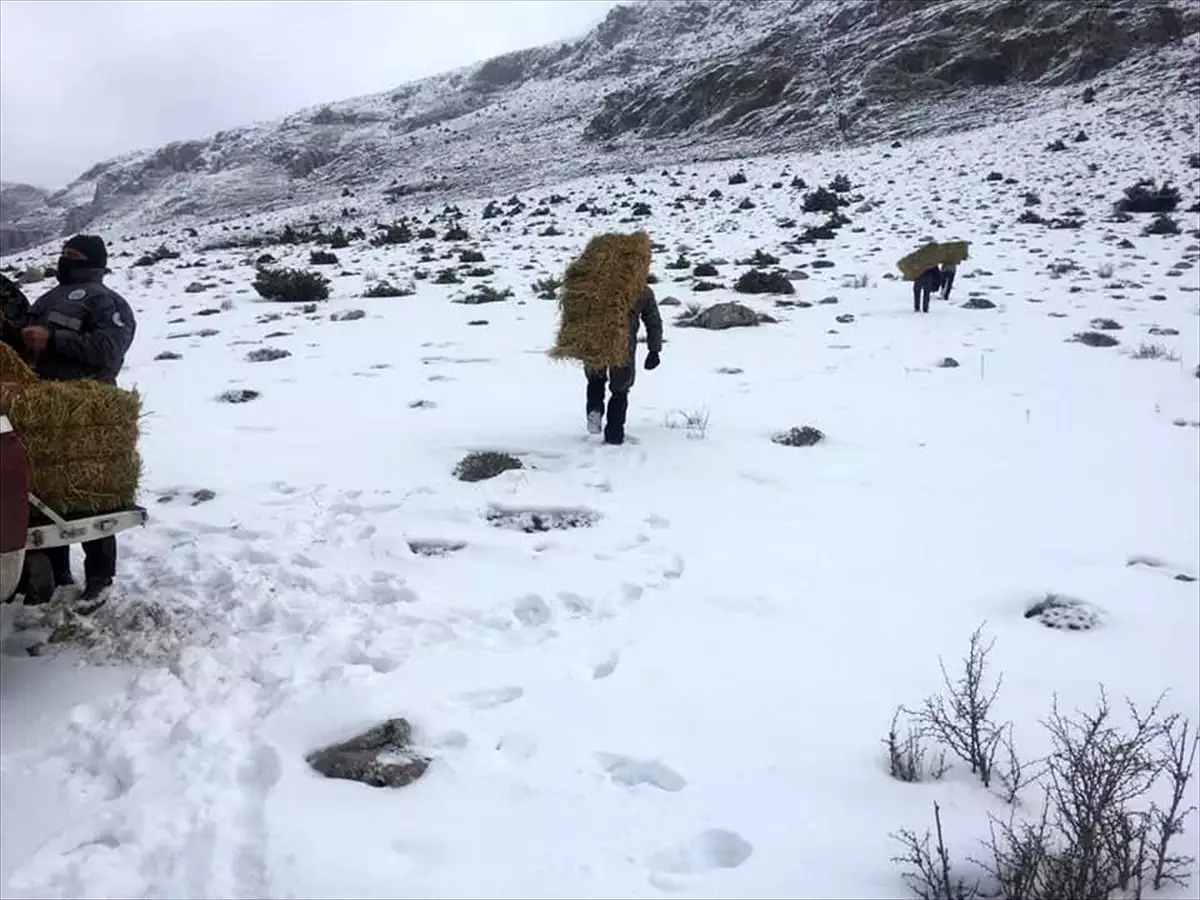 Yaban hayvanları için doğaya yem bırakıldı