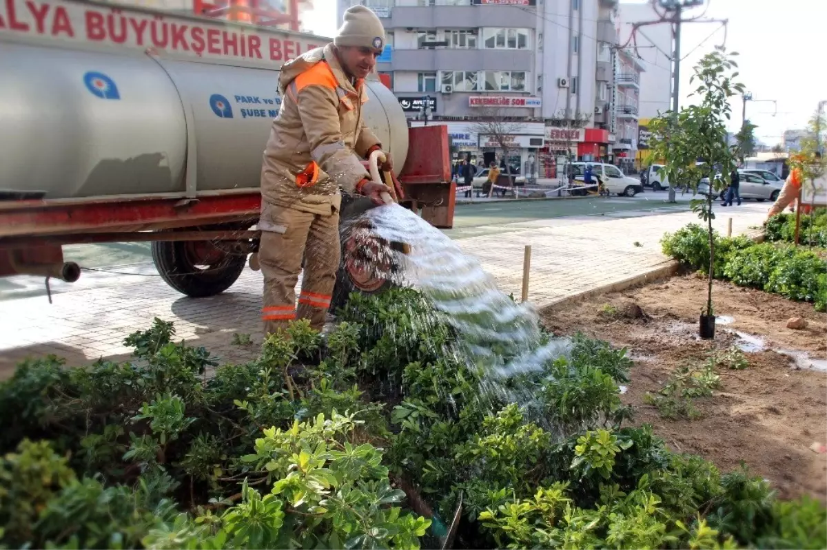 Ali Çetinkaya Caddesinde peyzaj çalışması