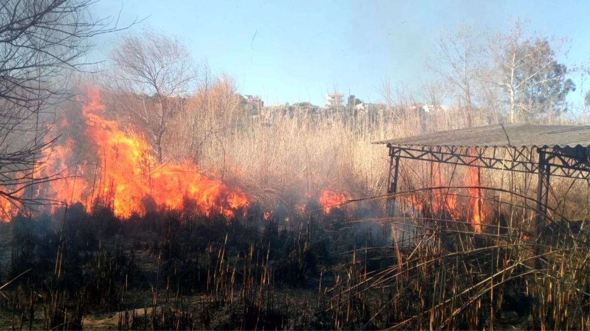 Antalya\'da sazlık yangınında bazı evler tahliye edildi