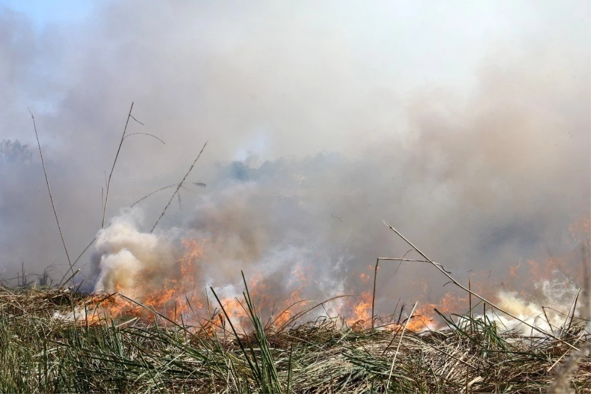 Antalya\'daki sazlık yangını kontrol altına alındı
