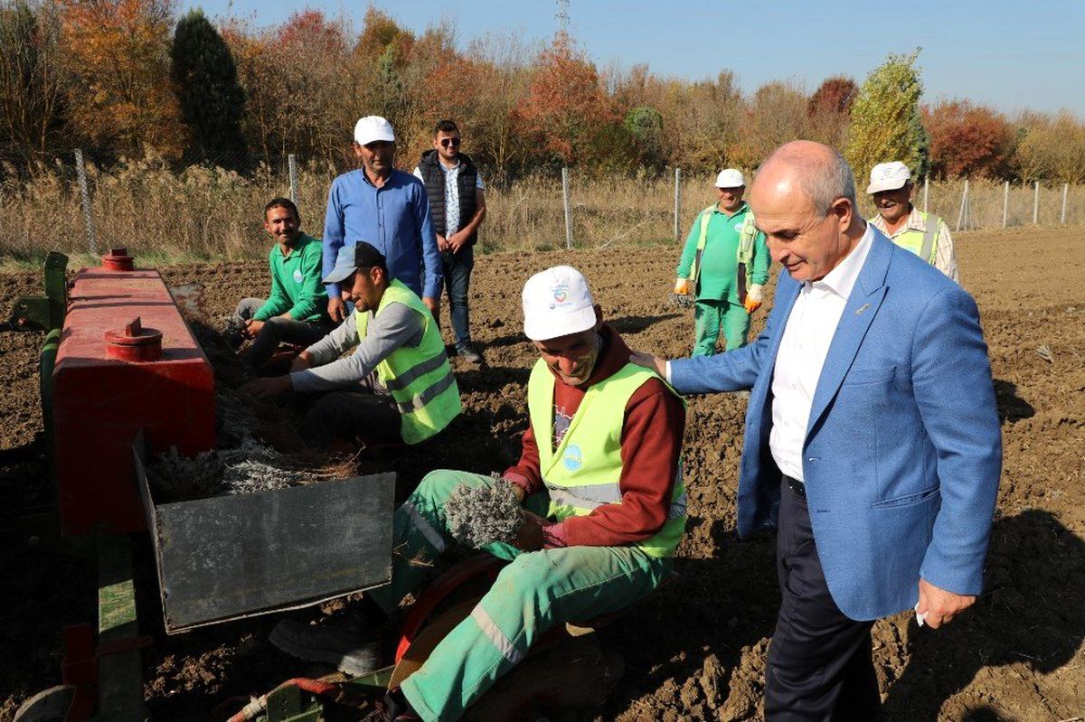 Büyükçekmece\'de "Tarım Yılı" eğitim programı başlıyor