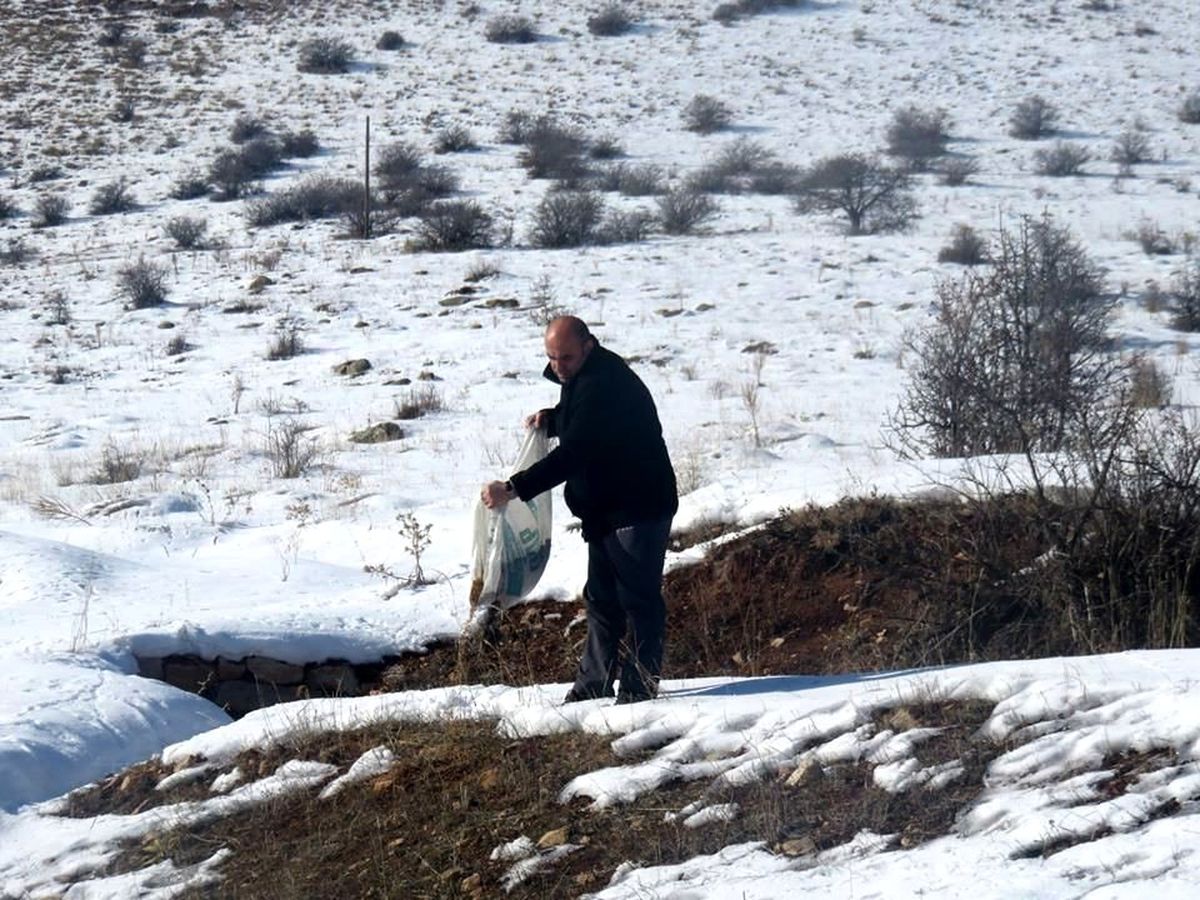 DKMP ekipleri bir taraftan doğaya yem bırakırken, bir taraftan da avcıları denetliyor