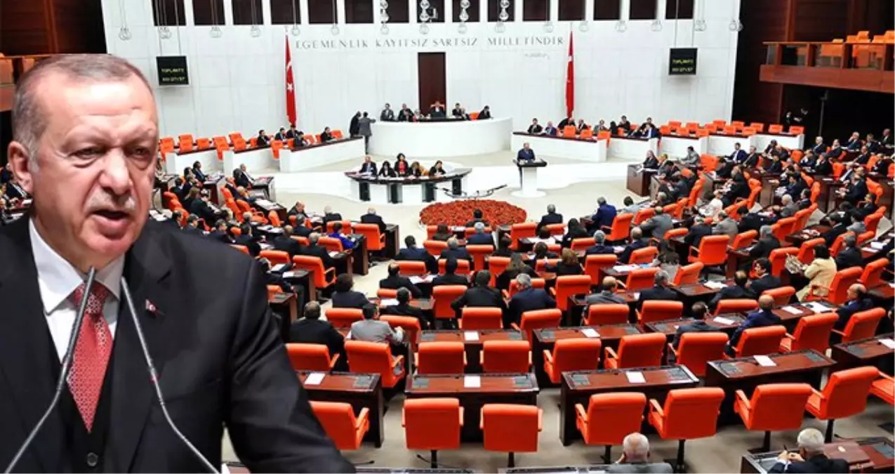 Erdoğan talimatı verdi, Meclis\'e sunulacak! Hayvanlara karşı işlenen suçlara \'hayvan polisi\' geliyor