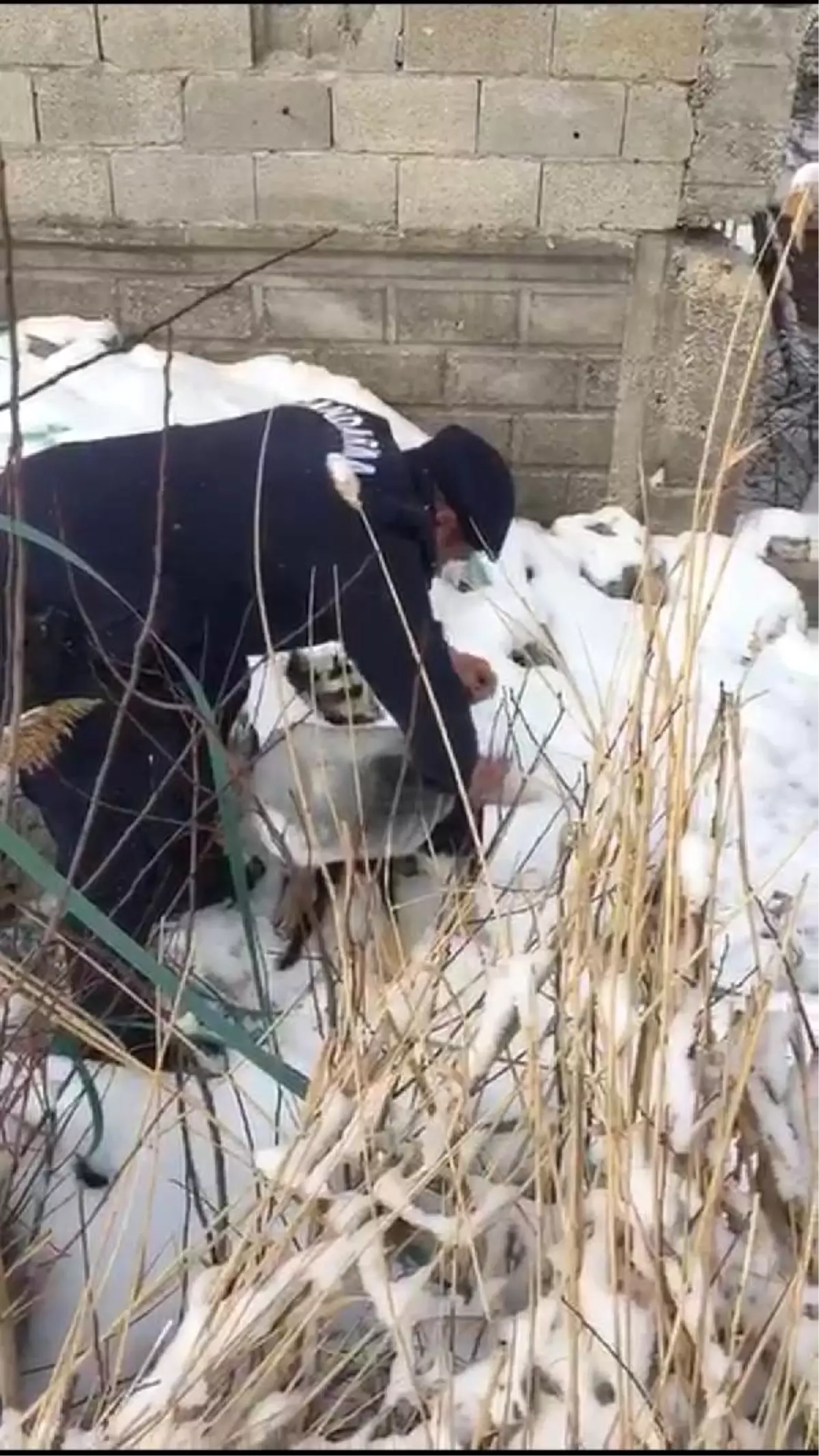 Kafası bidona sıkışan köpeği jandarma kurtardı