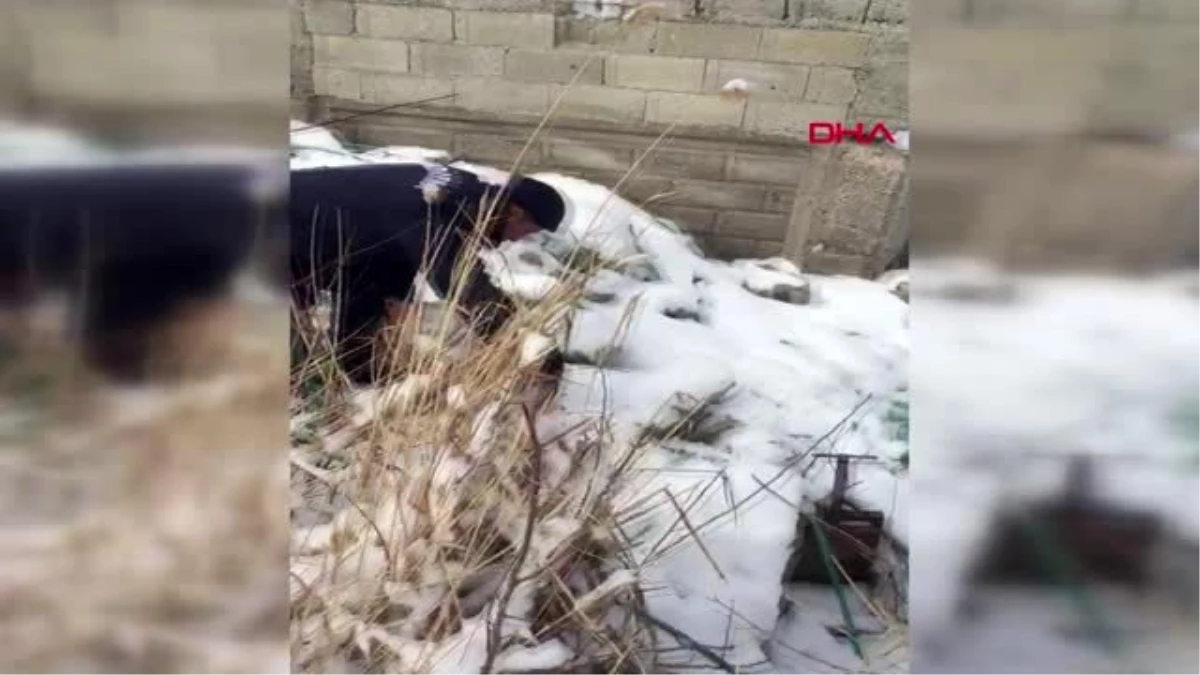 Kayseri kafası bidona sıkışan köpeği jandarma kurtardı