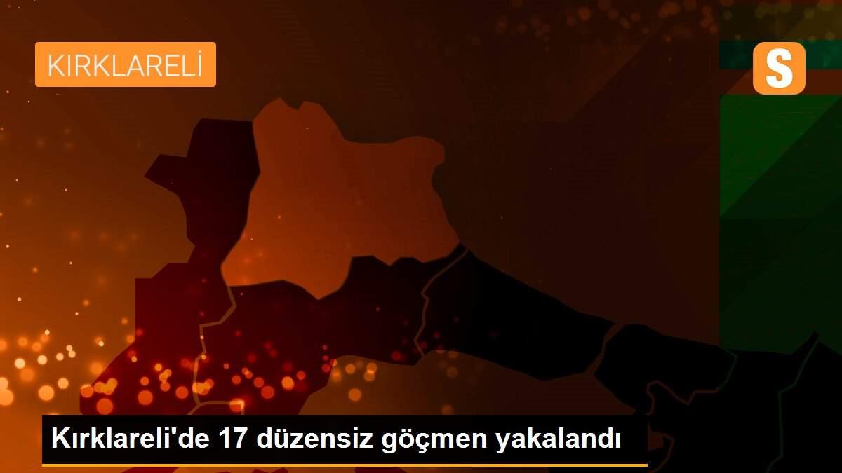 Kırklareli\'de 17 düzensiz göçmen yakalandı