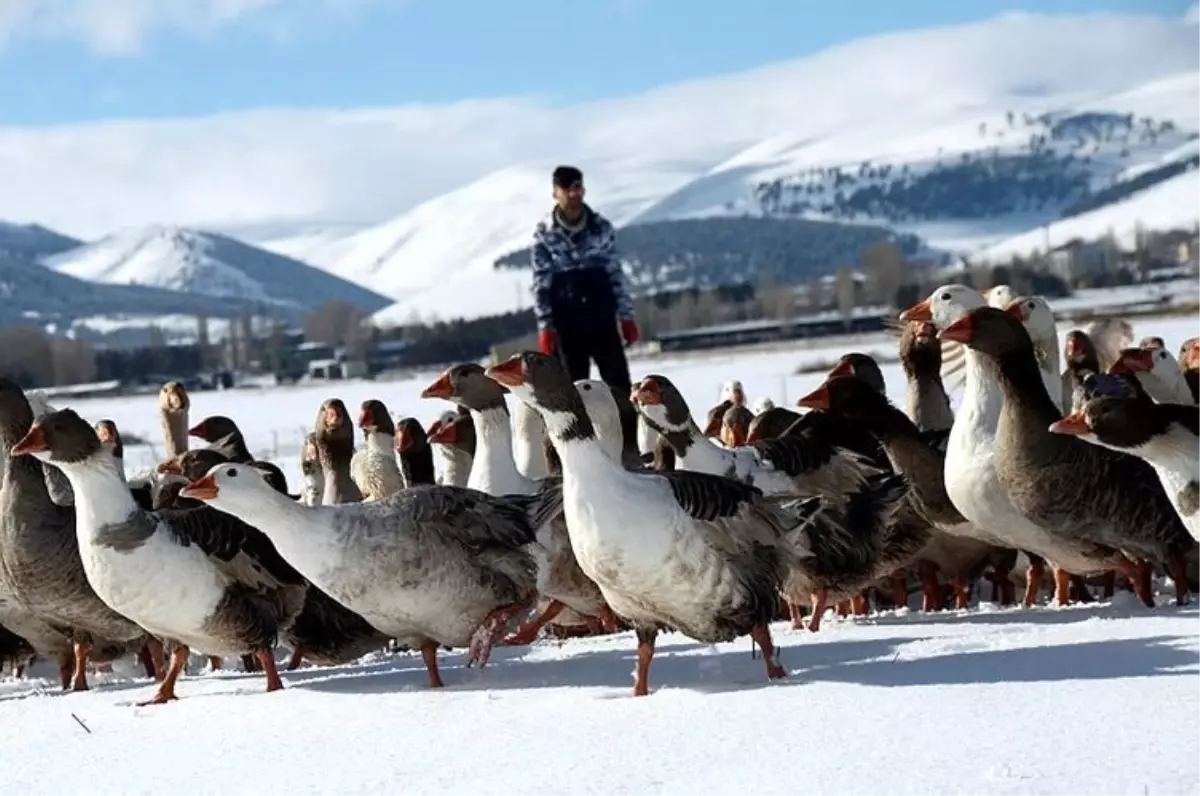 Ankara\'da Kars, Ardahan, Iğdır Günleri başlıyor