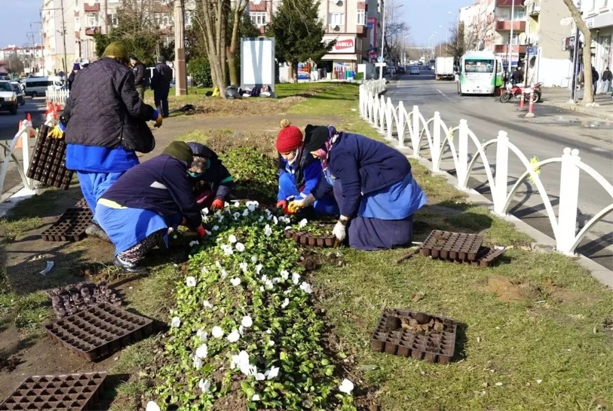 Belediye ekipleri Çorlu\'yu güzelleştirmeye çalışıyor