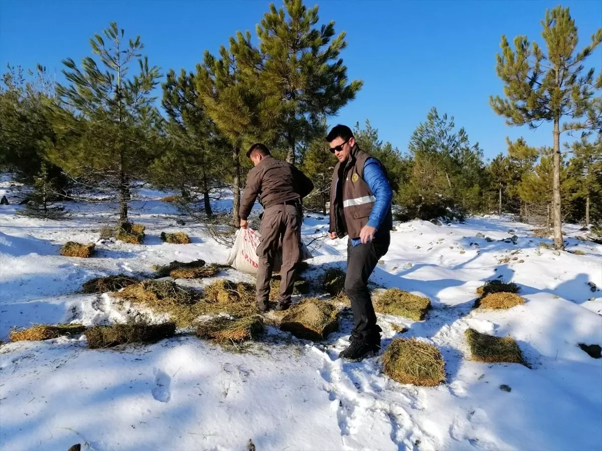 Gaziantep\'de yaban hayvanları için doğaya yem bırakıldı