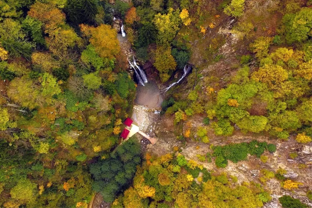 Gümüşhane\'de korunan alanlara çeyrek milyon ziyaretçi