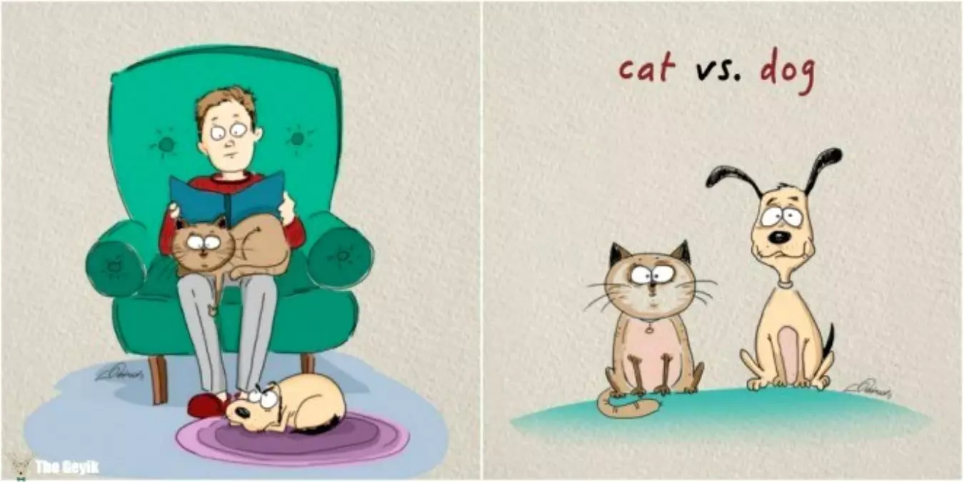 Kedi ile Köpek Arasındaki Farkları Anlatan 6 Komik Çizim