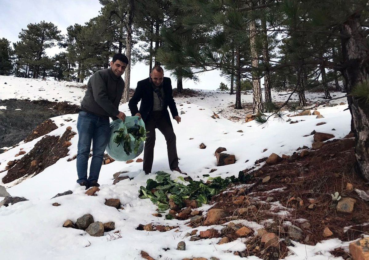 Muğla\'daki yaban hayvanlarına yem