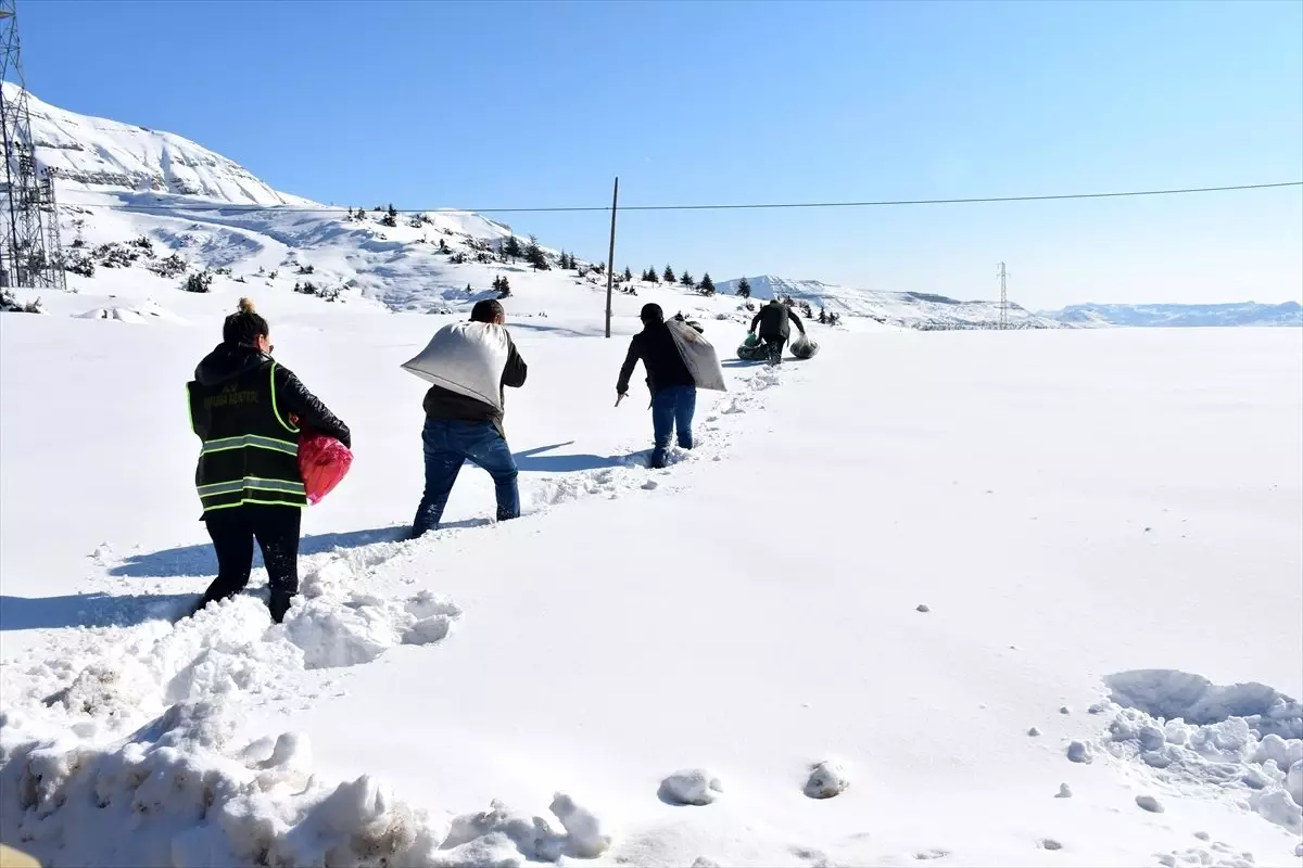 Şırnak\'ta yaban hayvanları için doğaya yiyecek bırakıldı