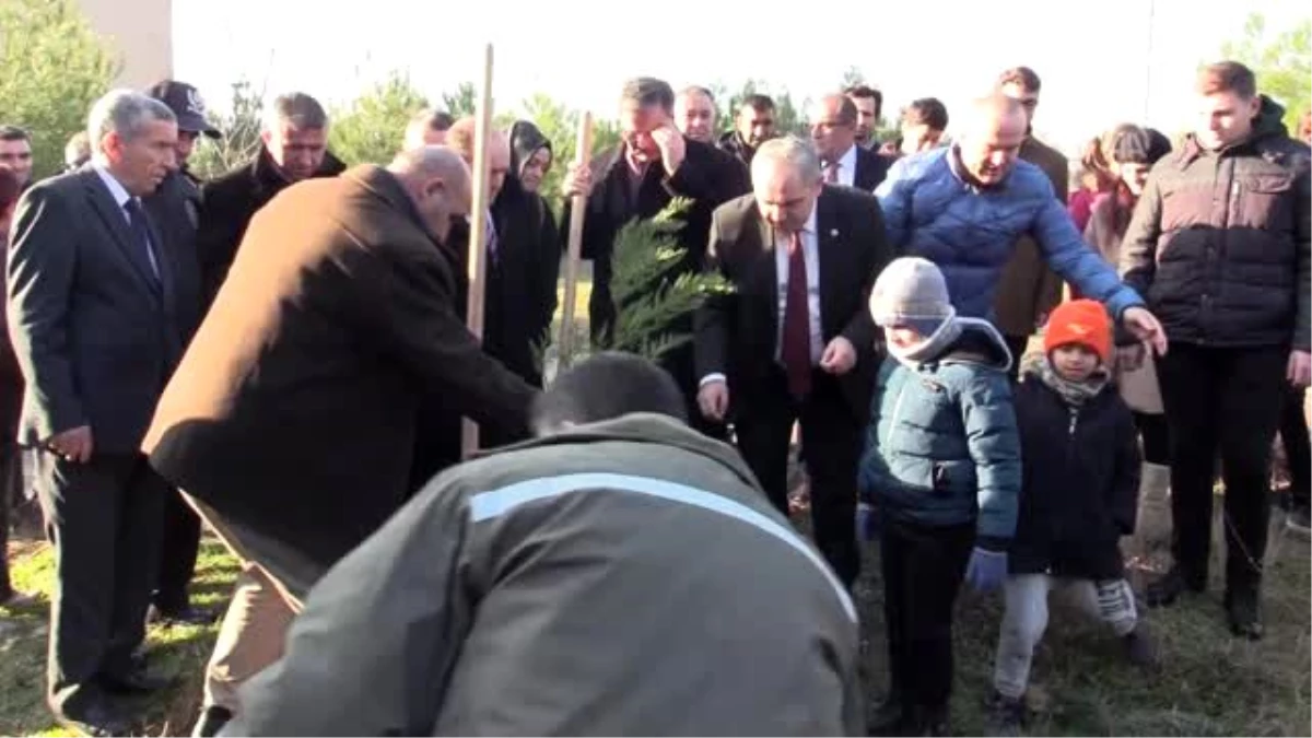 "Toprak Dede"nin hatırası, adına dikilen fidanlarda yaşayacak