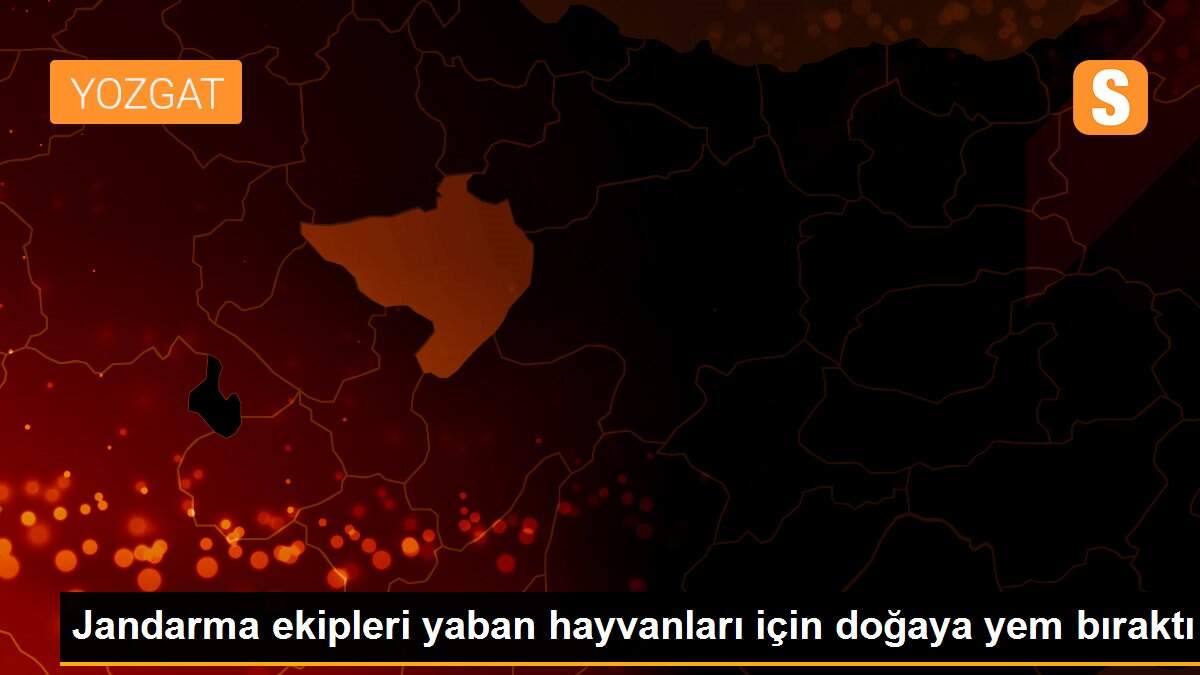 Jandarma ekipleri yaban hayvanları için doğaya yem bıraktı