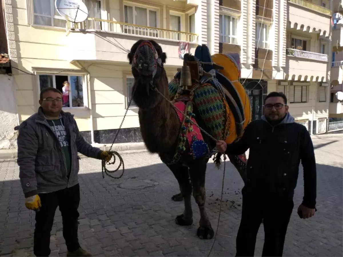 11 yaşındaki Buldan Beyi arenalarda fırtına estiriyor