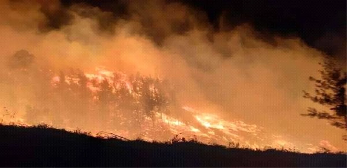 Adana\'da 6 saatlik orman yangını; 20 hektar alan kül oldu