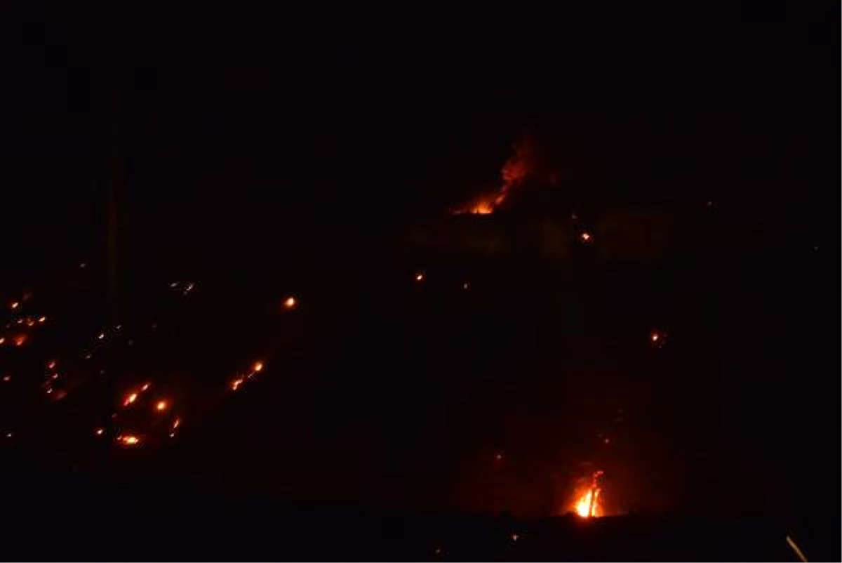 Adana\'da orman yangını - 2