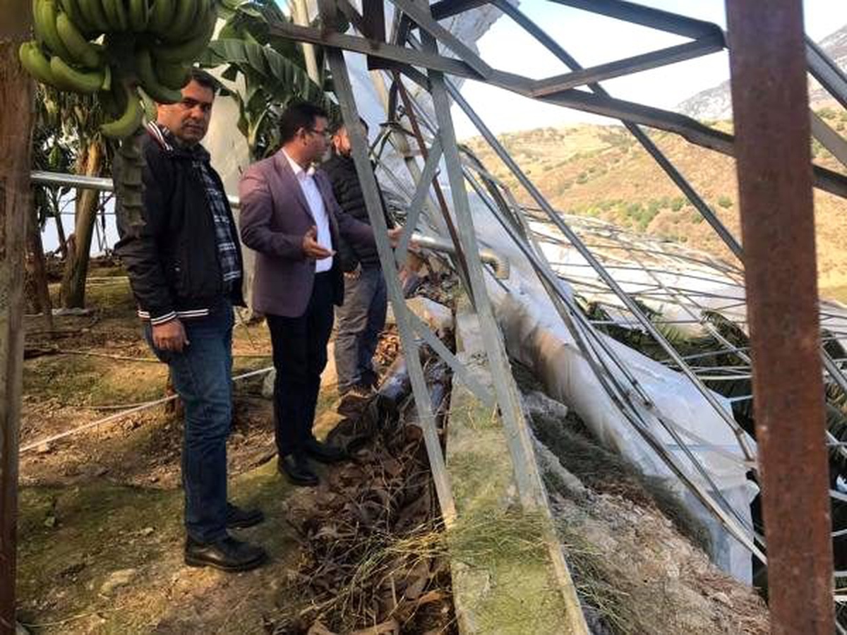 Alanya\'da fırtına tarım alanları ve iş yerlerine zarar verdi