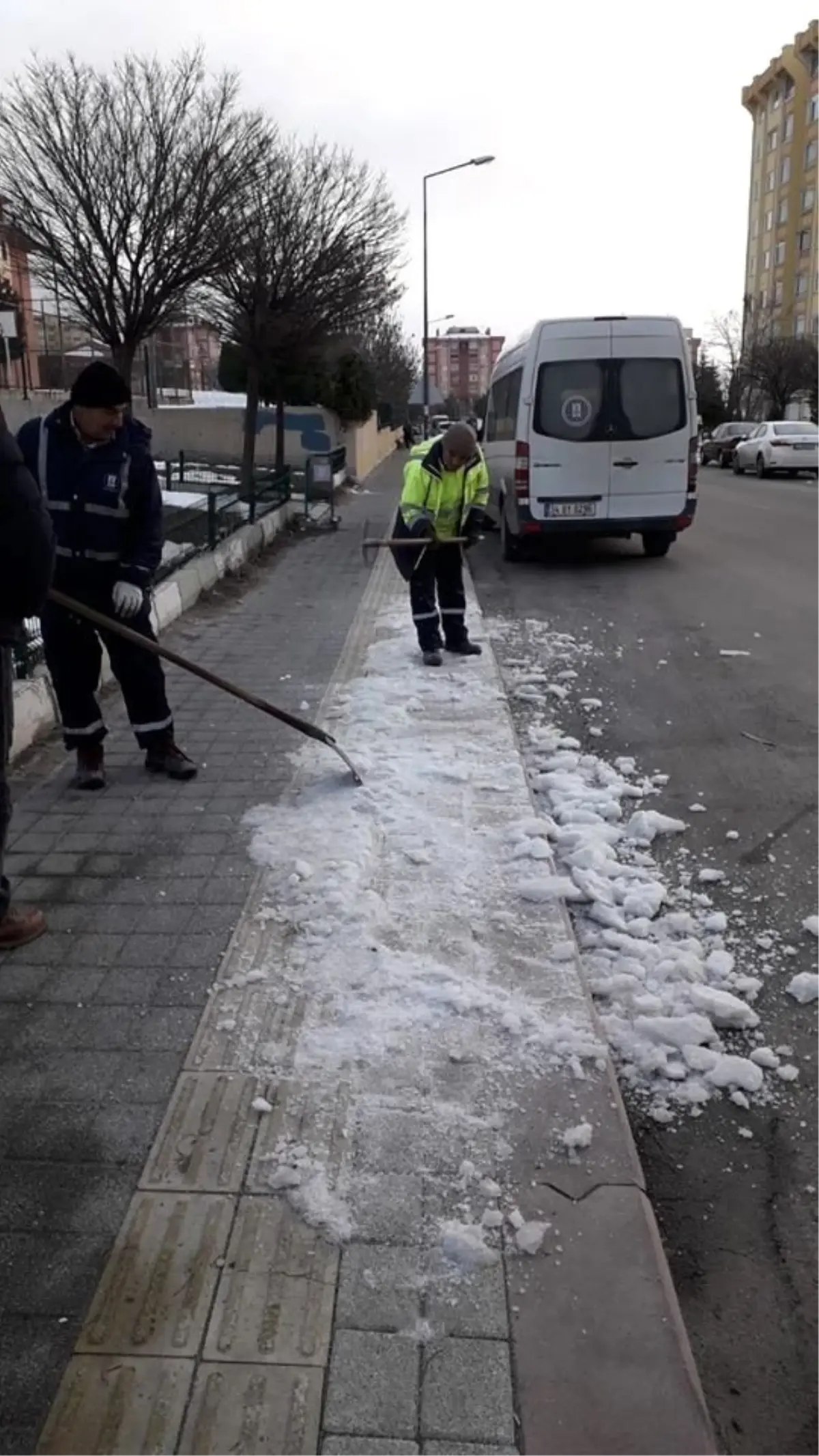 Budama ve kar temizliği çalışmaları