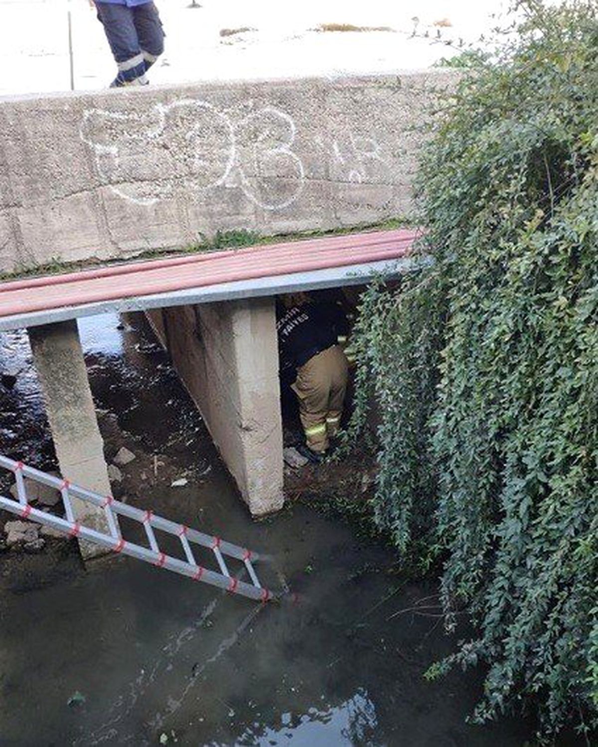 İzmir\'de dereye düşen yaşlı adamı itfaiye kurtardı