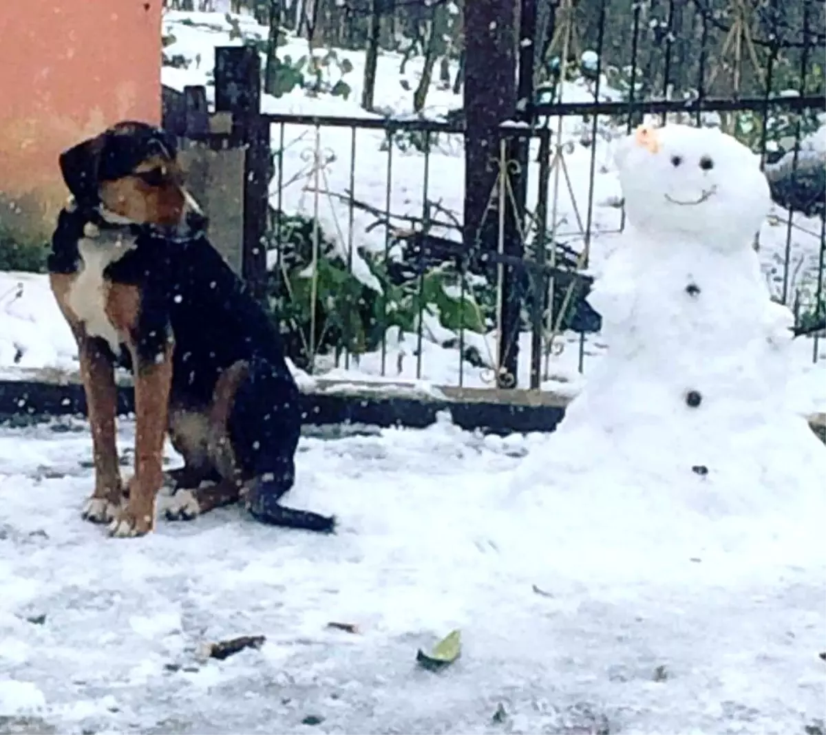 Kar en çok çocukları sevindirdi