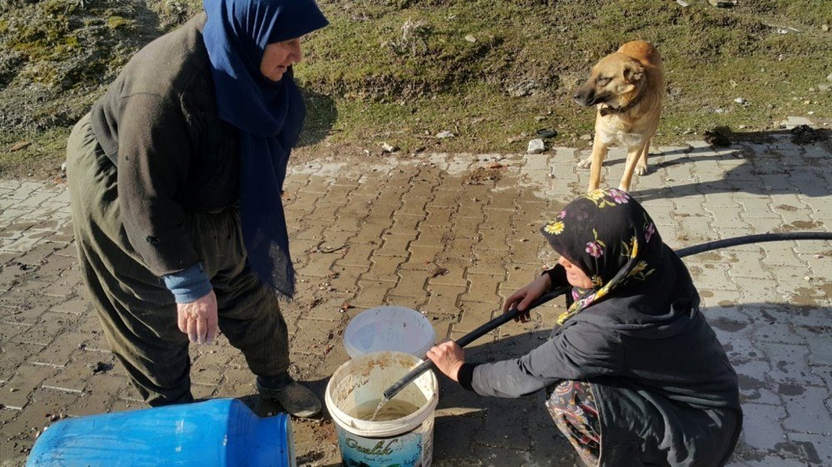 Köyde çıkan yangına kadınlar kovalarla su taşıyarak müdahale etti
