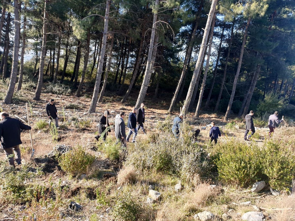Payas\'ta "Toprak Dede" anısına fidan dikildi