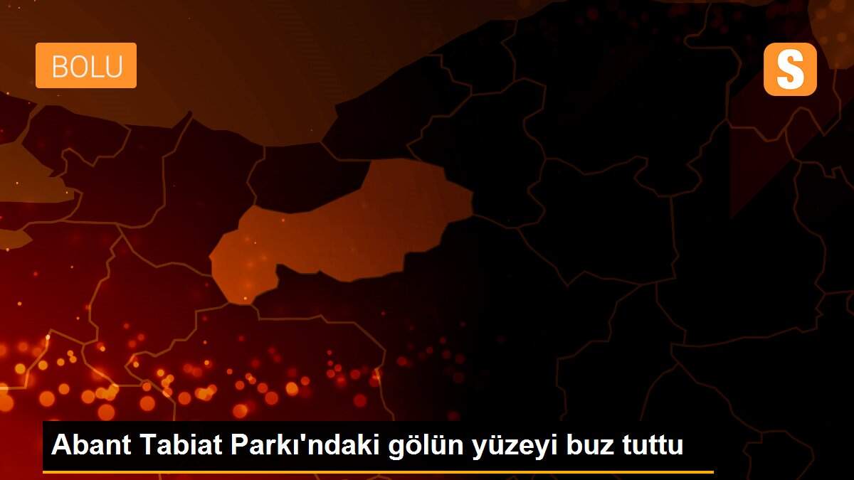 Abant Tabiat Parkı\'ndaki gölün yüzeyi buz tuttu