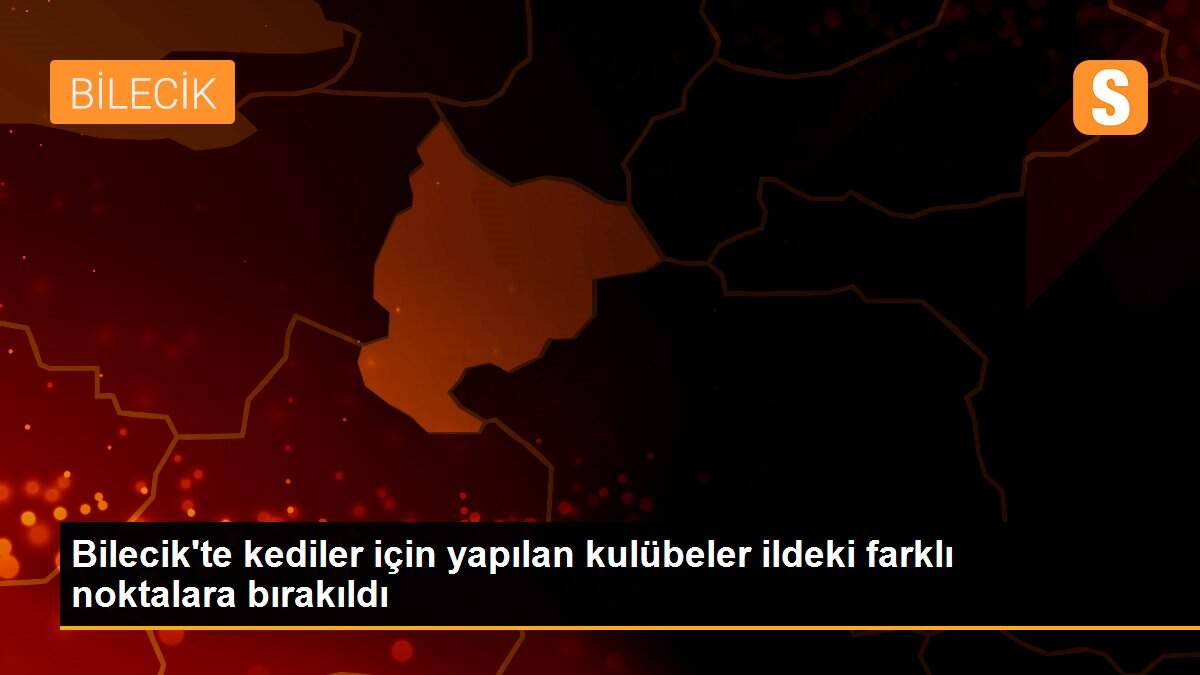Bilecik\'te kediler için yapılan kulübeler ildeki farklı noktalara bırakıldı