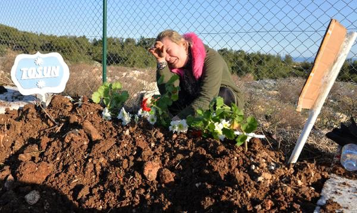 Depremde kalp krizi geçiren köpek Mersin\'de toprağa verildi