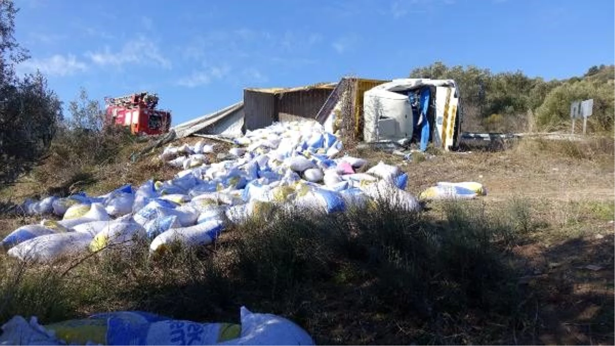 Devrilen yem kamyonunun şoförü yaralandı