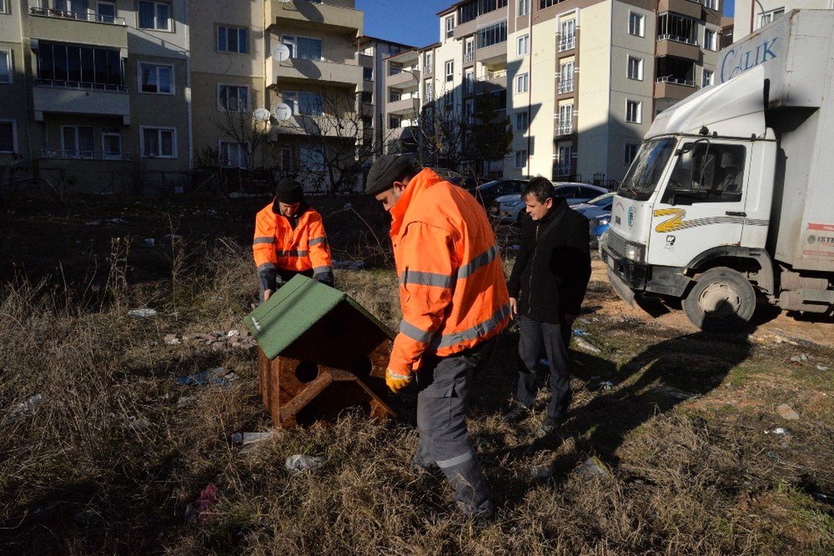 Sokak hayvanları için yapılan kulübeleri uygun alanlara bırakıldı