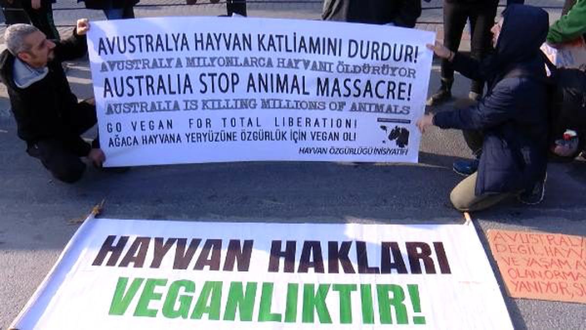 Avustralya Başkonsolosluğu önünde "Deve" eylemi