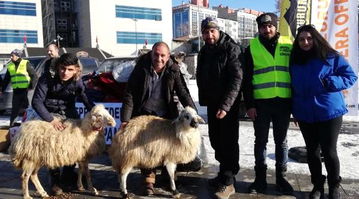 Depremzedelere iki koyununu gönderdi
