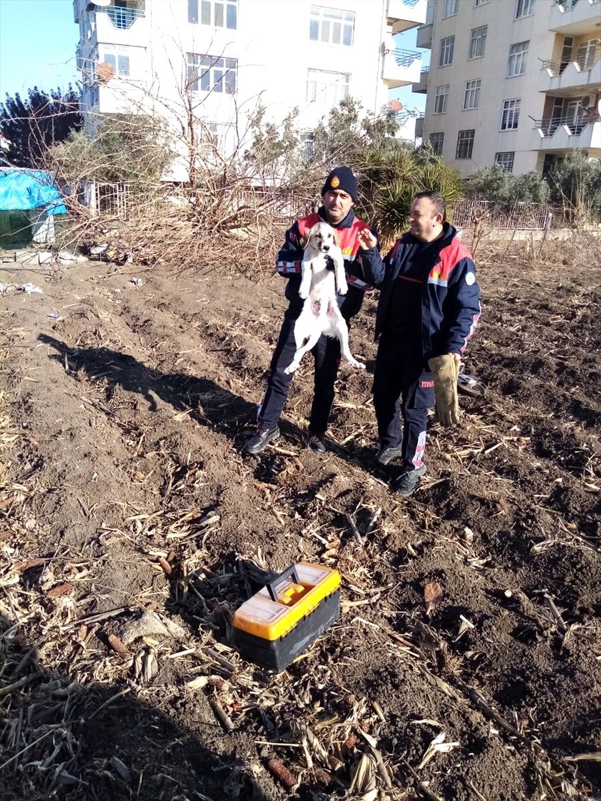 Kafası bidona sıkışan köpeği itfaiye kurtardı