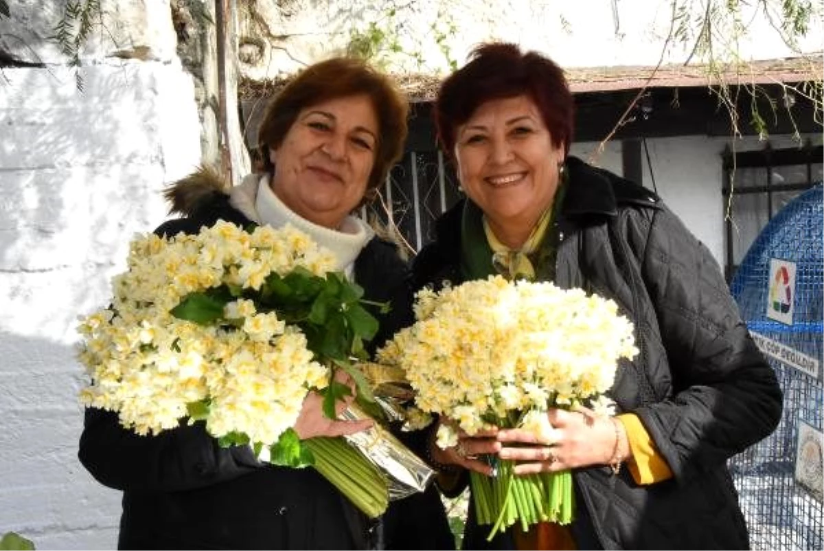 Karaburun Nergis Festivali buruk başladı