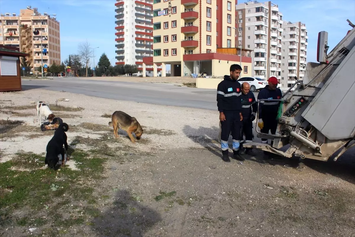 Temizlik işçileri sokak hayvanlarını besliyor