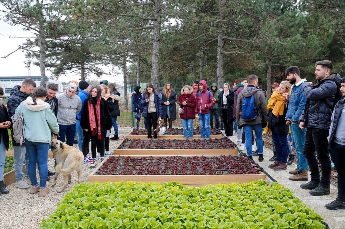 6 ülkeden çevreci öğrenciler Başakşehir\'i ziyaret etti