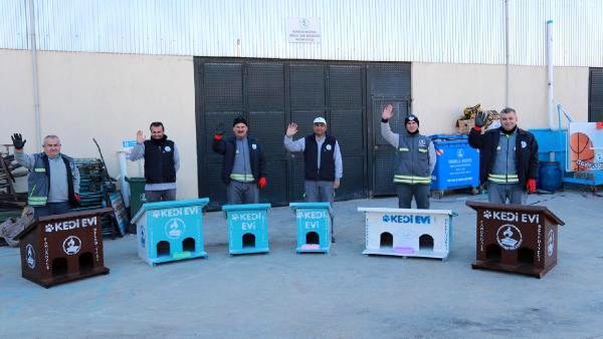 Atıklar, sokak hayvanlarına yuva oluyor