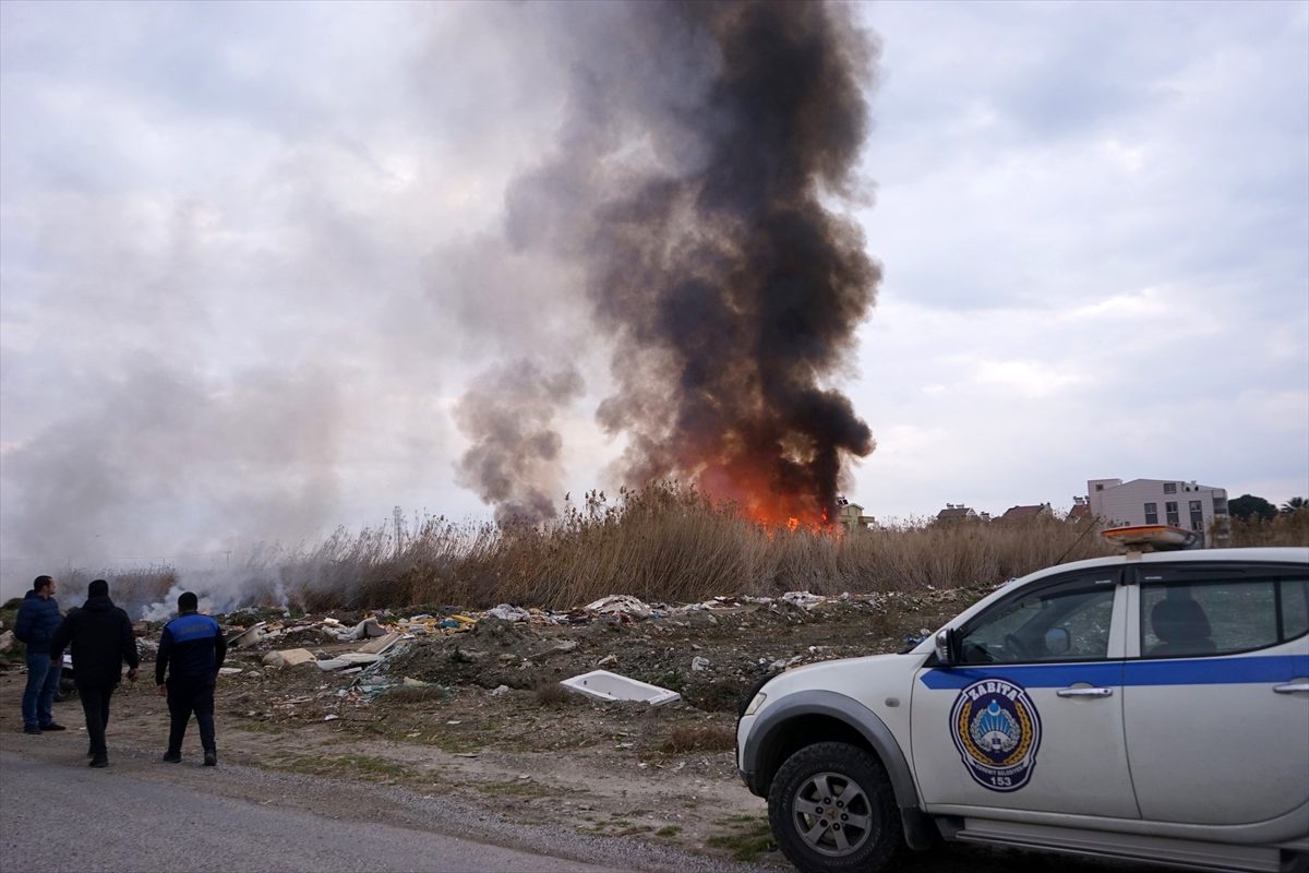 Balıkesir\'de yazlık konutların yakınında çıkan sazlık yangını söndürüldü