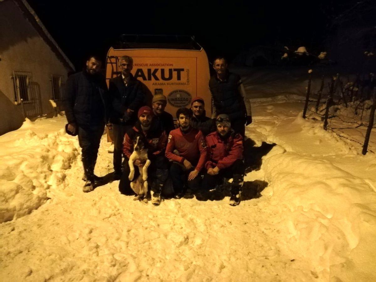 Buz tutmuş derede mahsur kalan köpeği AKUT kurtardı