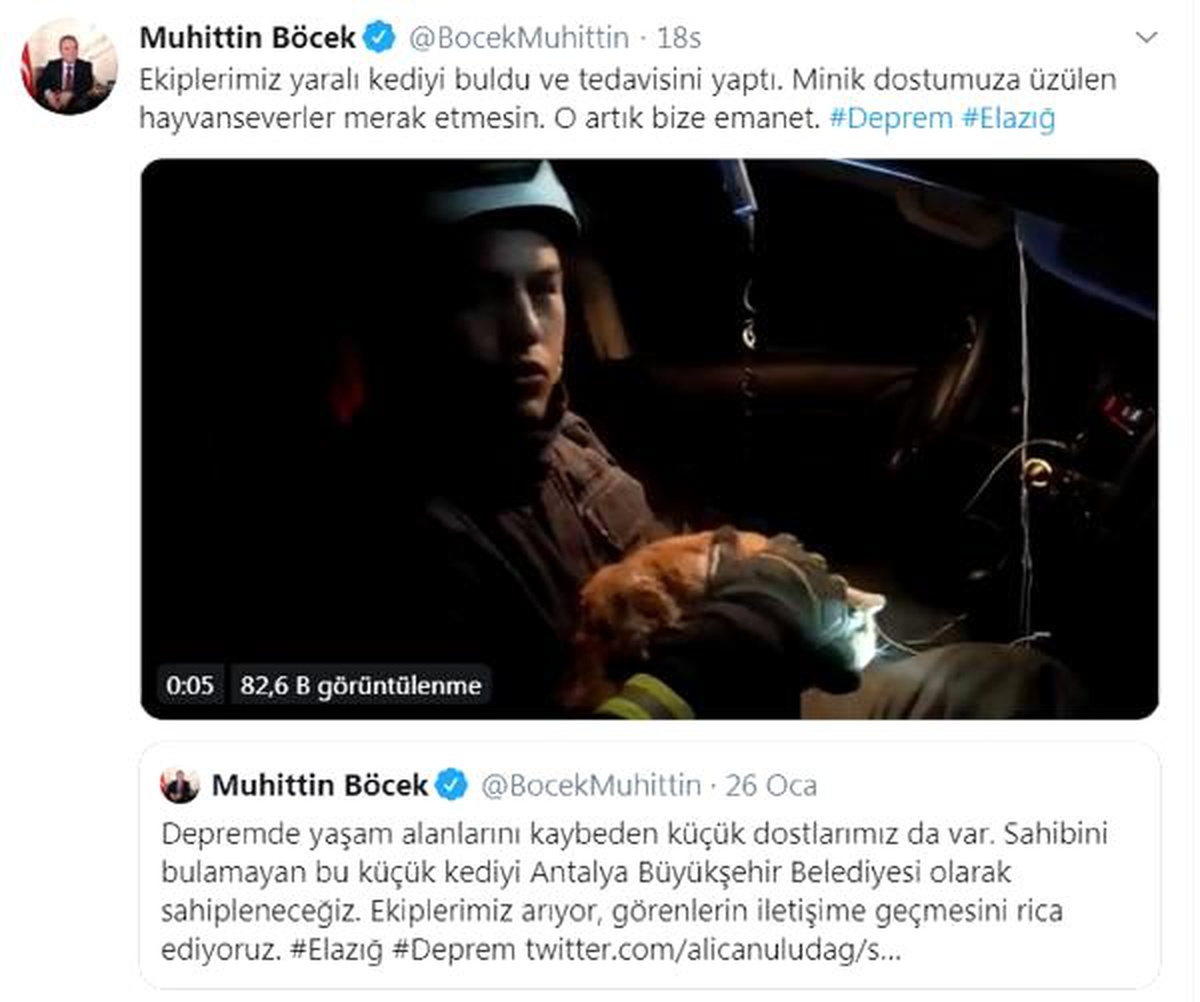 Depremde yaralanan kediyi, Antalya sahiplendi