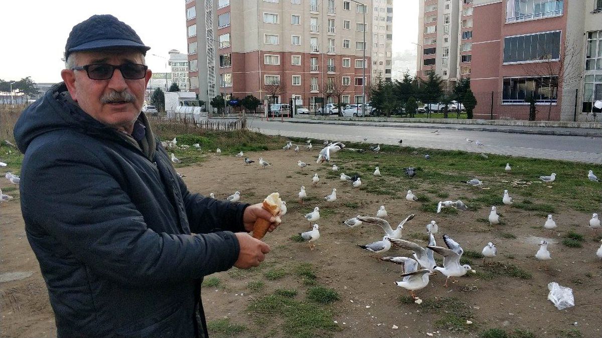 Her sabah ilk işi martıları doyurmak