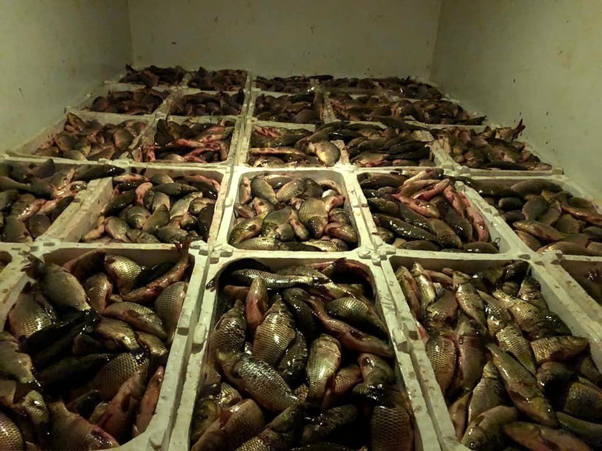 Kaçak avcı 2 kişiye 10 bin TL ceza