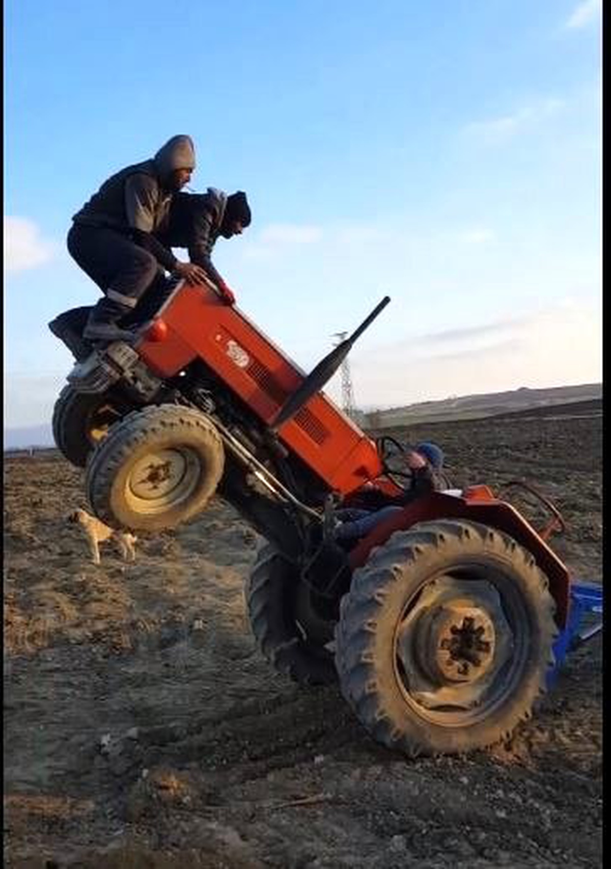 Şaha kalkan traktör 2 kişiyi üzerinden fırlattı