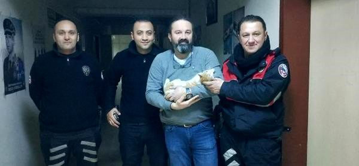 Yaralı kediye polis ilgisi
